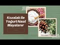KOZALAK İLE YOĞURT NASIL MAYALANIR ? KOZALAK İLE YOĞURT NASIL MAYALANIR ?