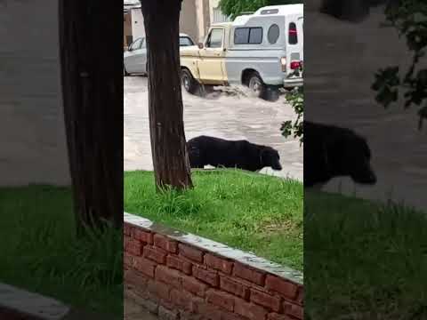 Fuerte granizada en 25 de Mayo