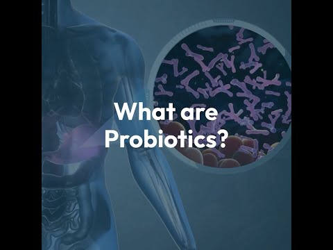 Probiotics bacillus subtilis enzyme, 25 kg, packaging size: ...