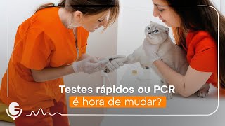 Testes rápidos ou PCR: é hora de mudar? | Vet2Vet #004