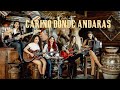 Las Fenix - “Cariño Donde Andaras” Cover - Éxito de Los Tigres del Norte