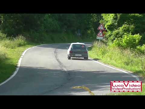 Passaggi esterni 25° Rally del Taro 2018 D'Arcio-Ponti Clio Williams A7