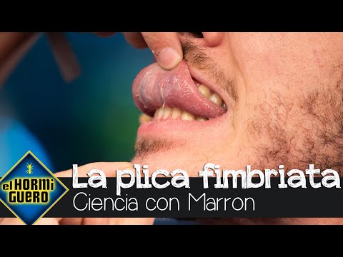 Marron muestra una parte desconocida de tu cuerpo: la 'plica fimbriata' - El Hormiguero