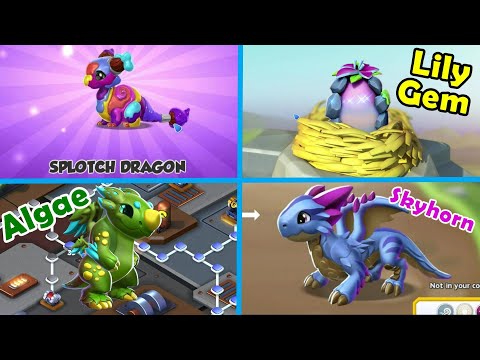 ALGAE DUNGEON WEEK! SPLOTCH Dragon Unlocked + Hatching the LILY GEM & LEVIATHAN Dragons! - DML #1351