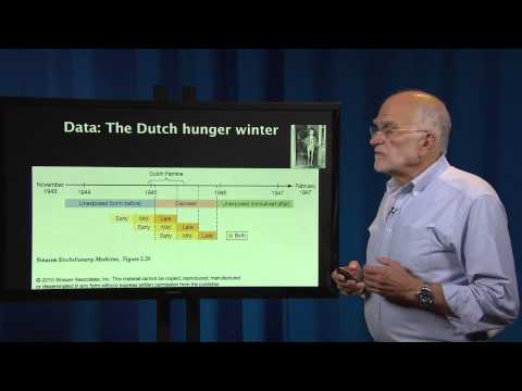 What is a Patient? Developmental Origins of Health and Disease