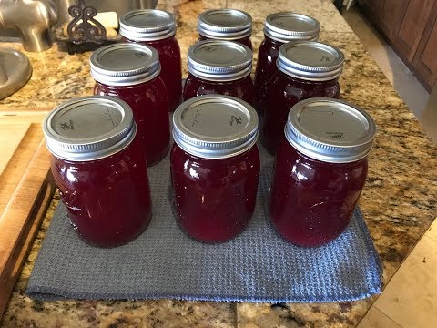 download lagu mp3 mp4 Canning Cranberry Juice Concentrate, download lagu Canning Cranberry Juice Concentrate gratis, unduh video klip Canning Cranberry Juice Concentrate