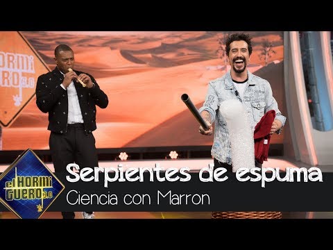 Marron, Pablo Motos y Julio Baptista son encantadores de serpientes de espuma - El Hormiguero 3.0