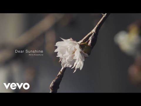 Akira Kosemura – Dear Sunshine (Performance Video)