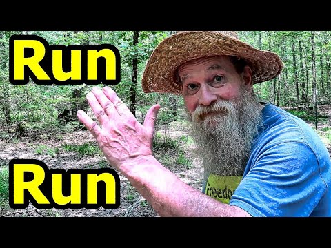 URGENT get Out of the City Now are You Ready?