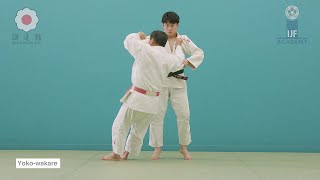 Yoko-wakare Tumnagel