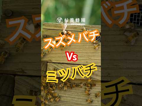 園芸 ミツバチ