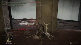 [助っ人急募]3週目エルデンリングDLC