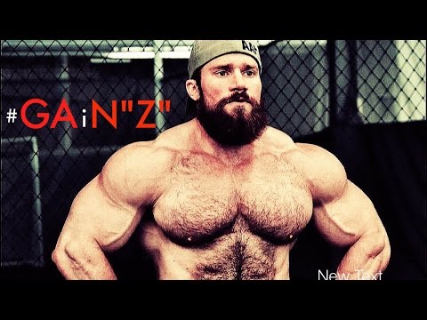 download lagu mp3 mp4 Epic Gainz, download lagu Epic Gainz gratis, unduh video klip Epic Gainz