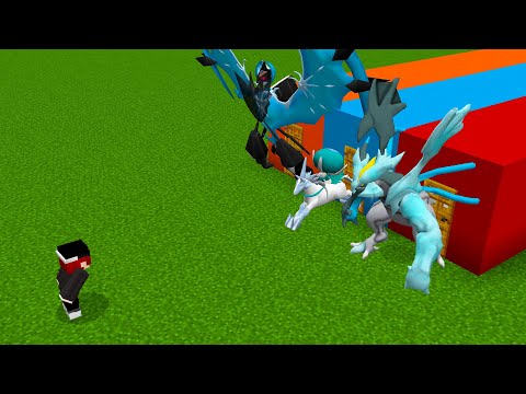 Which Door Should I Choose in Minecraft Pixelmon