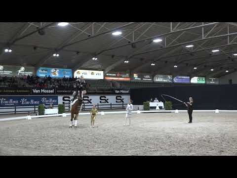 TUS Fortuna 1184 Saarburg