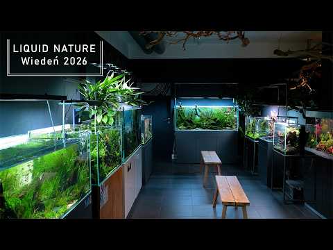 Liquid Nature najlepszą galerią akwarystyczną w Europie?