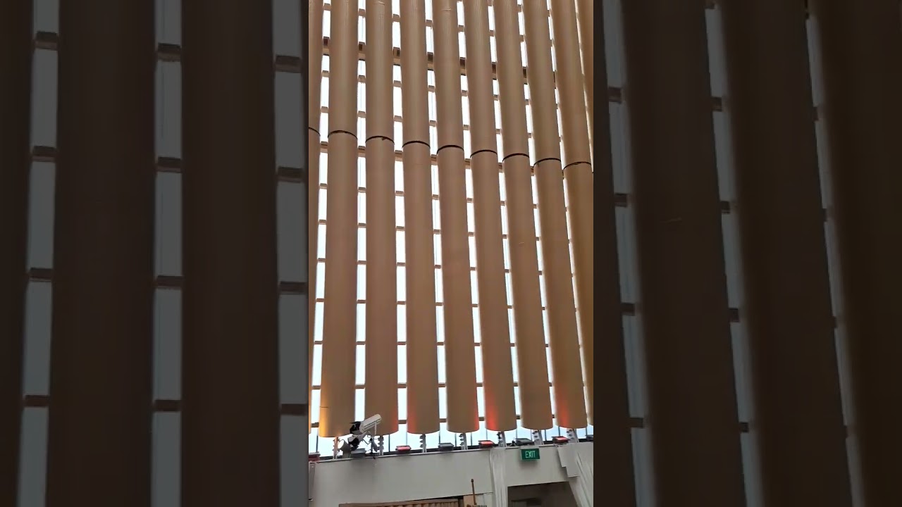 YouTube Short thumbnail