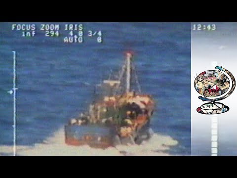 The Immigrants (2000) | Trailer | Available Now