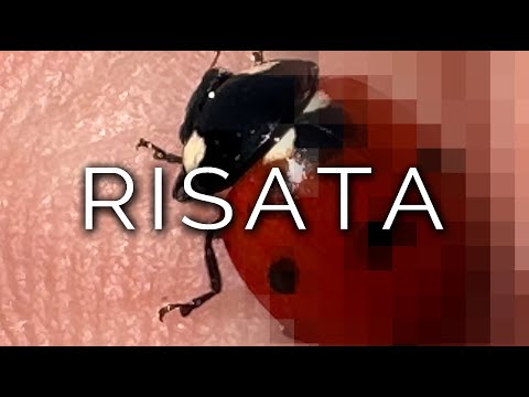 1553-IT DIRETTA Stefania, RISATA - Ipnosi Esoterica ∞ Lucio Carsi