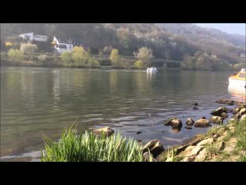 Bootsvermietung Bernkastel Kues 08 04 17 Nautique Charter
