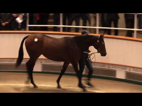Tattersalls October Yearling Sale Book 1,  2017 Day 1