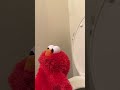 The Worst Thing Happened To Elmo Elmo Memes