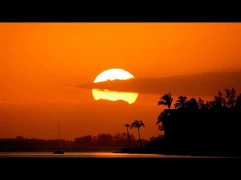 FIN Project - Rising Thoughts