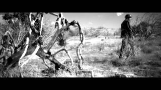 Billy Sherwood - No Man's Land feat. Steve Morse (Official / New / Studio Album / 2015)