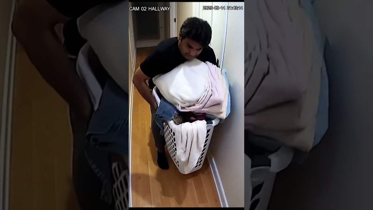 Something Was Hiding in My Laundry Basket and It Wasn't Clothes 🧺🐊💀