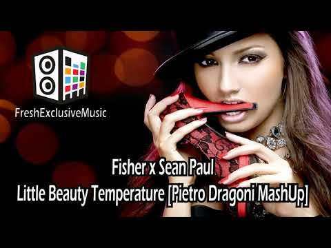 Fisher x Sean Paul - Little Beauty Temperature [Pietro Dragoni MashUp]