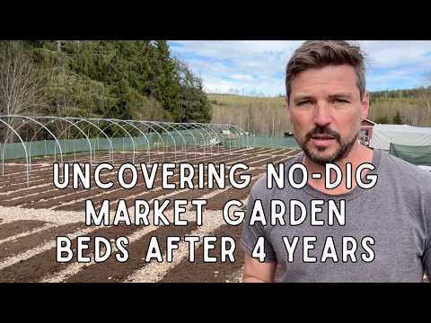 4-Year Covered Market Gardens: Season Extension Insights