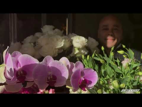 download lagu mp3 mp4 Verde Flowers, download lagu Verde Flowers gratis, unduh video klip Verde Flowers