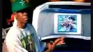 Lil Flip - Platinum Starz Video