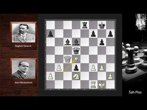 Aron Nimzowitsch vs Siegbert Tarrasch * Sudar šahovskih legendi na Šah Plus kanalu *