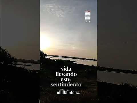 estoy en Camaguán Guarico 🤠🎤🪉 #venezuela #viralvideo