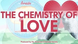 The Chemistry of Love
