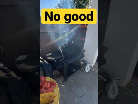 Pit boss smoker worth it? #pitboss #cooking #food #shorts