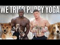 Bodybuilders Try Puppy Yoga