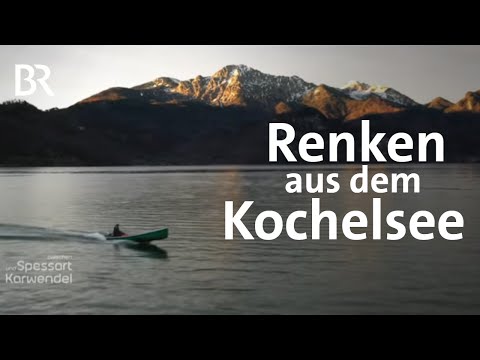 Fischerei Kneidl am Kochelsee: Gibt's schöne Renken? | Zwischen Spessart und Karwendel | BR