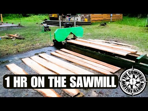 Using the Harbor Freight Sawmill (8 years going strong!) Minor issues.