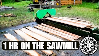 Using the Harbor Freight Sawmill (8 years going strong!) Minor issues.