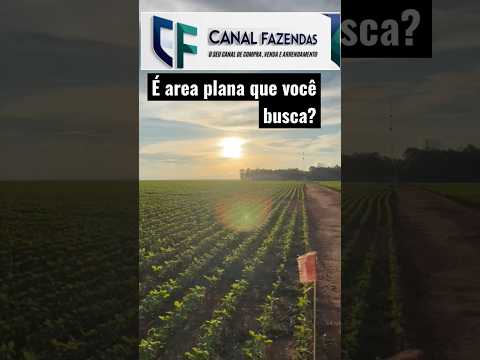 É área plana que você busca no MT. Fazenda à venda com 2000 ha em lavoura! Chamaaa 🔥 🔥