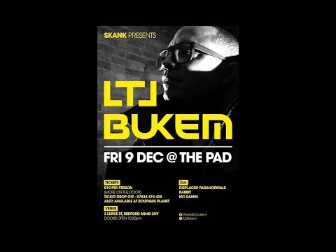 Displaced Paranormals - Skank Mini Mix