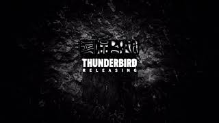 Download lagu Thunderbird Releasing (2018) mp3