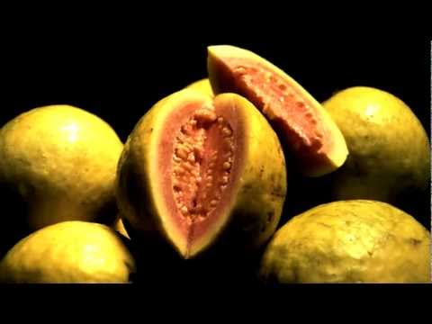 "I Know Who I Am" (Antonio Ocasio)