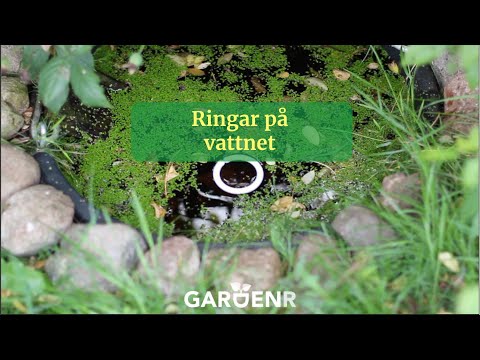 Ringar på vattnet - Trädgårdshacks med GardenR