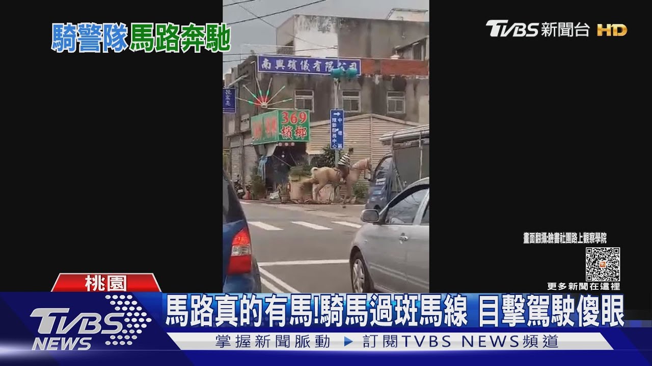 馬路真的有馬!騎馬過斑馬線 目擊駕駛傻眼