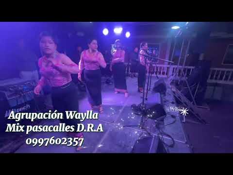 MIX PASACALLES WAYLLA D.R.A desde  Yacuambi Zamora Chinchipe
