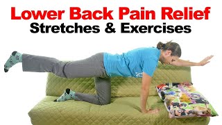 Quick and EASY Lower Back Pain Relief Stretches!