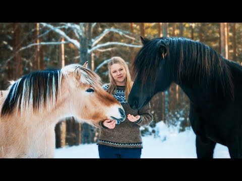 They're Finally Here - Our Horses Have Arrived | #07 Farm Diaries